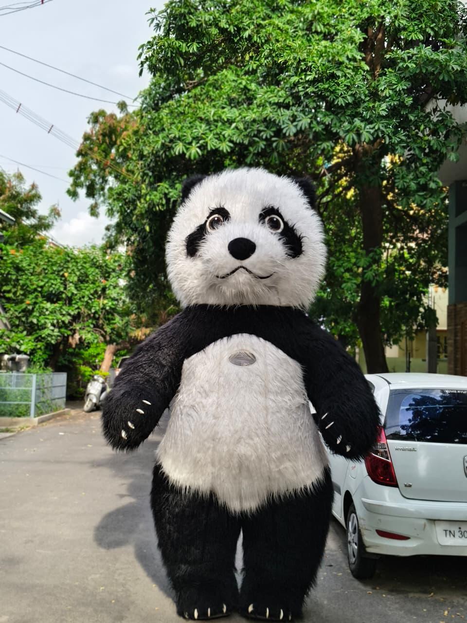 Welcome Doll