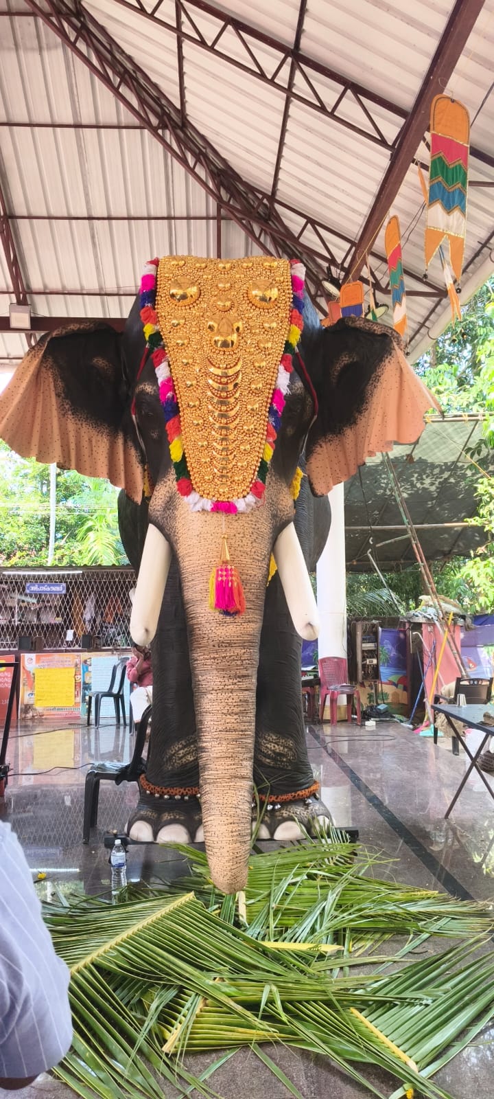 Elephant big