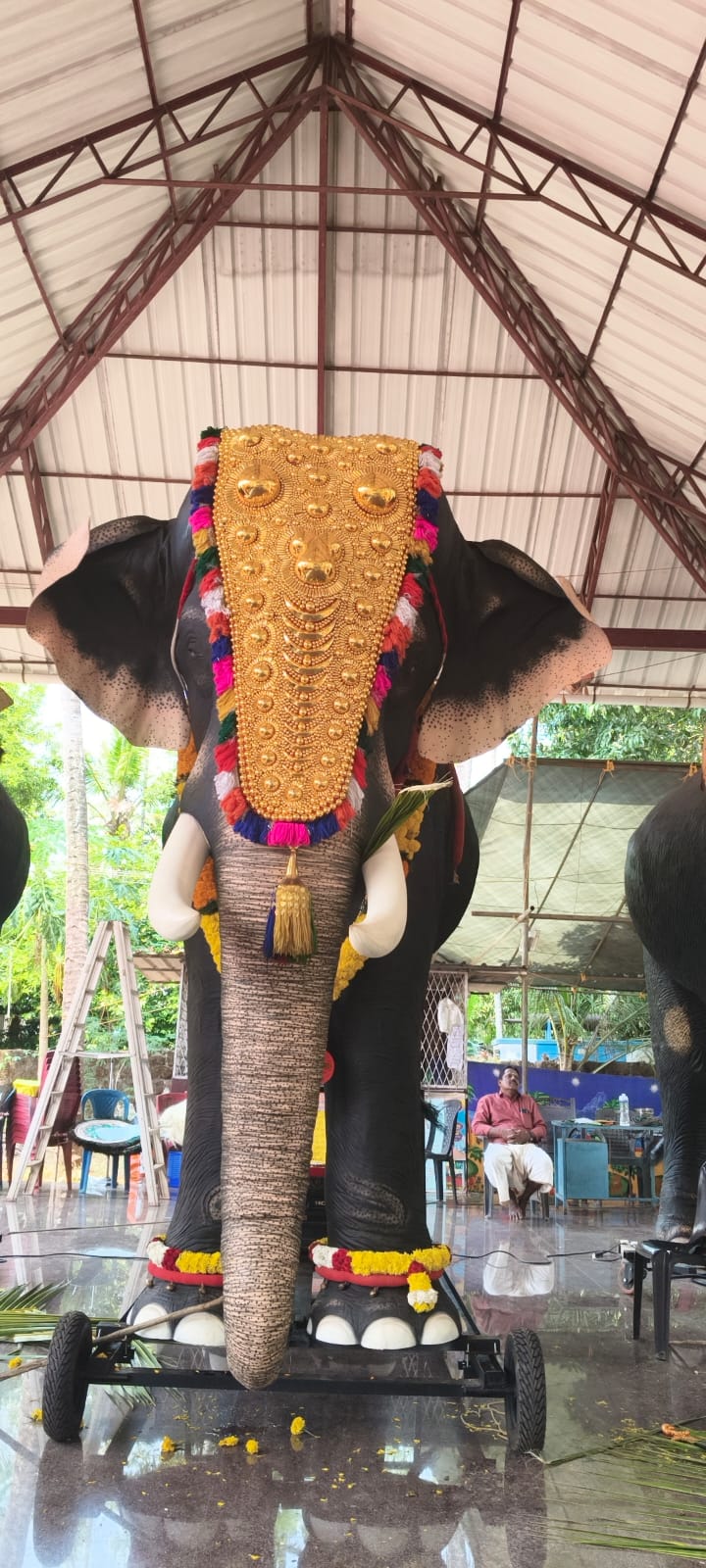 Elephant big