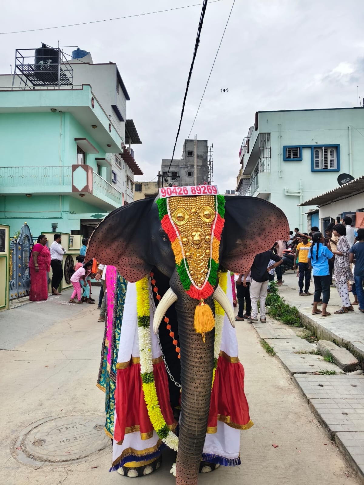 Elephant Small
