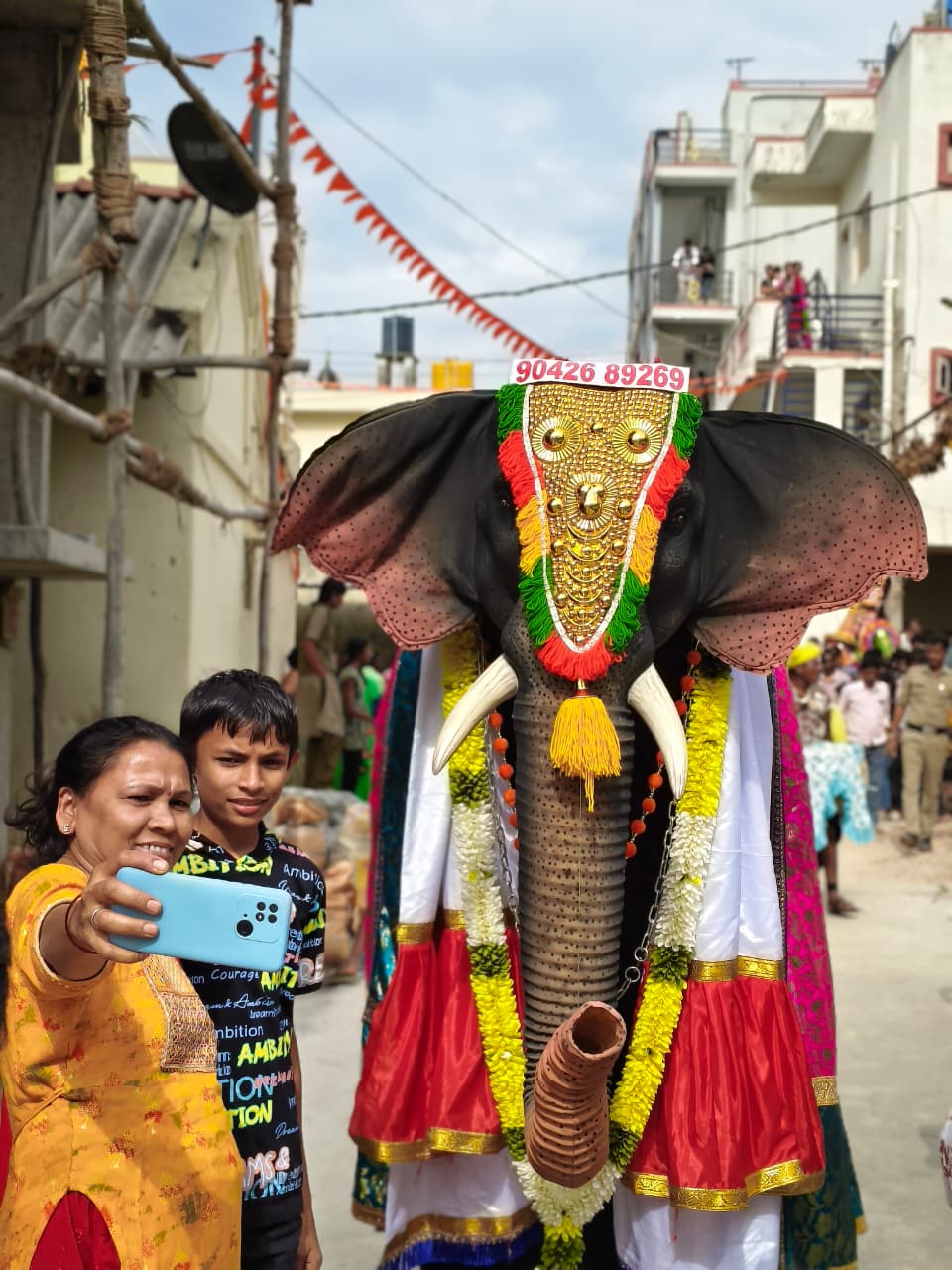 Elephant Small