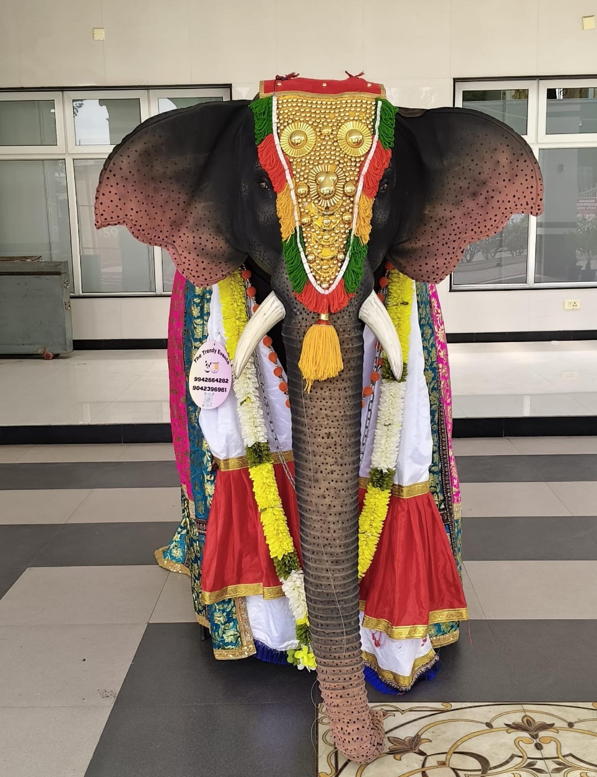 Elephant Small