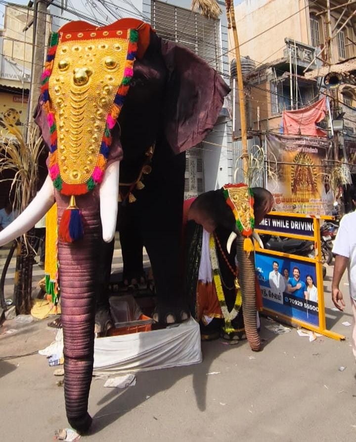 Elephant Small